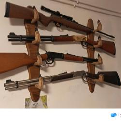 winchester a plomb co.2 neuf jamais servie