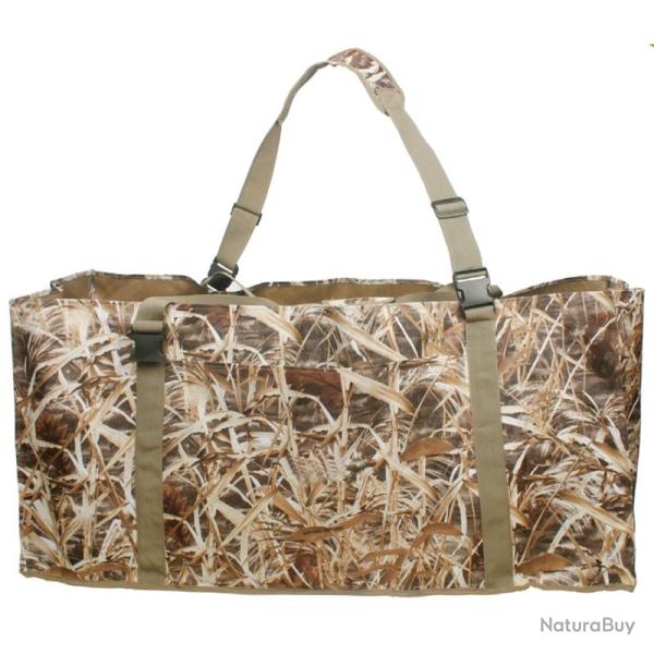 SAC A 12  APPELANTS COMPARTINA STEPLAND