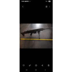 Vend carabine 22lr ISSC modern sporting rifle MK22 avec deux chargeurs