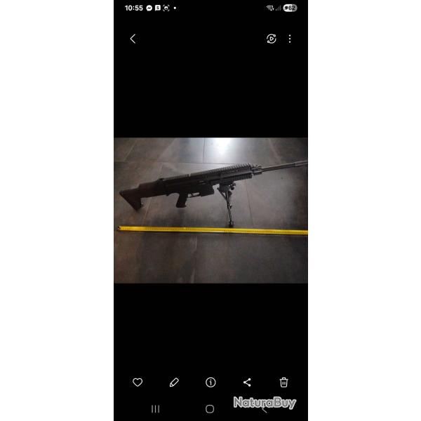 Vend carabine 22lr ISSC modern sporting rifle MK22 avec deux chargeurs