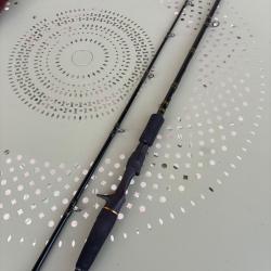 Canne Abu Garcia Svartzonker 20-120g 240cm