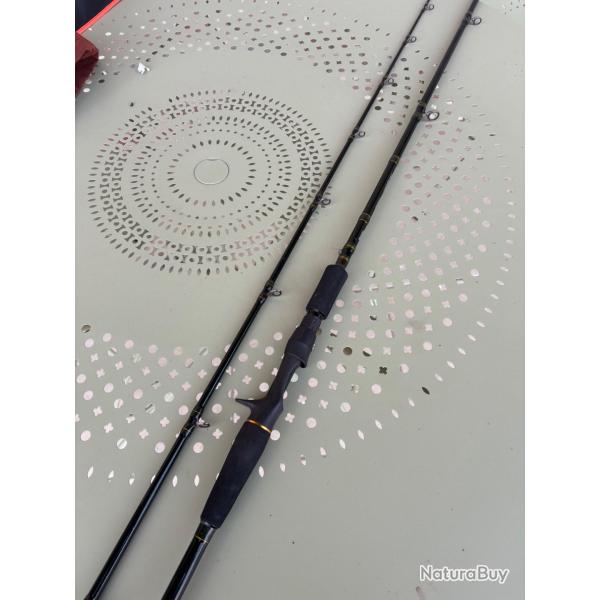 Canne Abu Garcia Svartzonker 20-120g 240cm