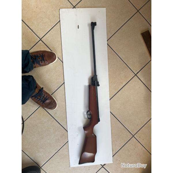 carabine � air comprim� "GAMO modele expo"4.5