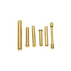 AAP01 S.S. Pin Set - Gold cowcow