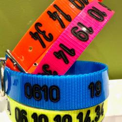 PROMO 2026 !! Collier GRAV&Eacute; chien - Gravure sp&eacute;ciale GARMIN Orange