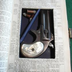 Belle Bible 19&egrave; Cachette Pour Deringer