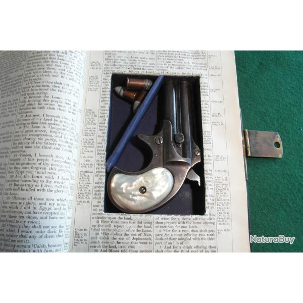 Belle Bible 19� Cachette Pour Deringer