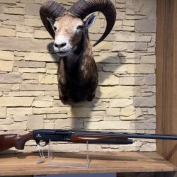 Fusil Semi-Auto Marocchi iFirst Cal.12/76 Neuf + valise tous les chokes+ 1� sans prix de r&eacute;serve n&deg;2