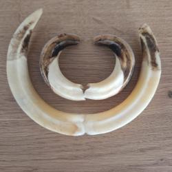 Cherche action du samedi