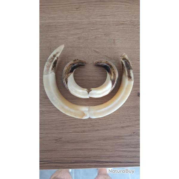 Cherche action du samedi