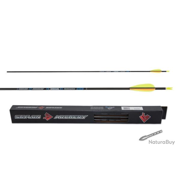Lot de 12 fl�ches Skylon Radius 4,2 mm en carbone 900 80-100 gr