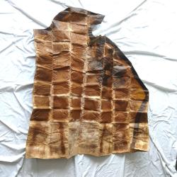 Equipement - FR33330a P&egrave;lerine de protection sommaire