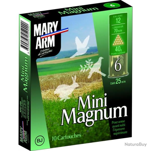 MINI MAGNUM 40grains bourre jupe CAL 12 /boite de 10