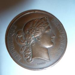 MEDAILLE EN BRONZE : 1877