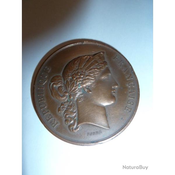 MEDAILLE EN BRONZE : 1877