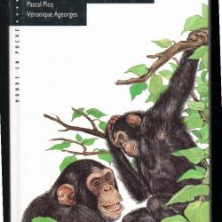 la vie des gorilles et des chimpanz&eacute;s pascal picq