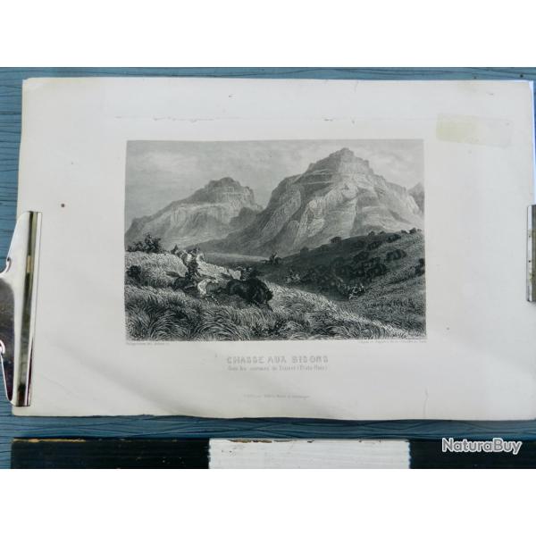 Gravure ancienne - Chasse aux bisons dans les savanes de l'Ouest (�tats-Unis)