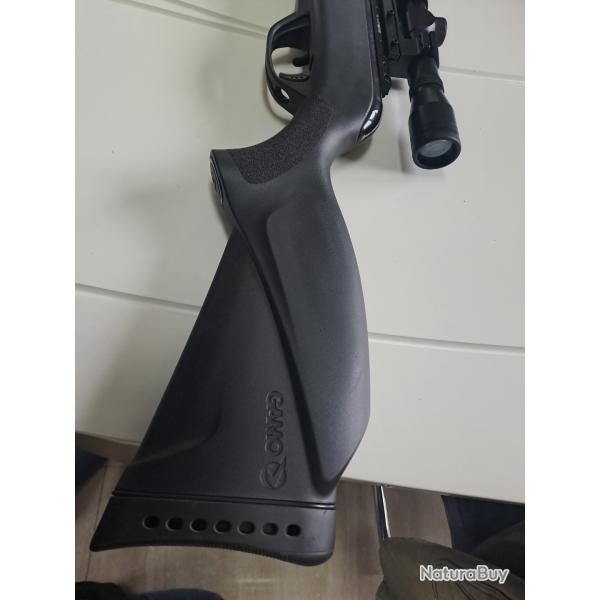 Carabine � plomb Gamo Black 10 Maxxim IGT 4.5 mm 29 joules.