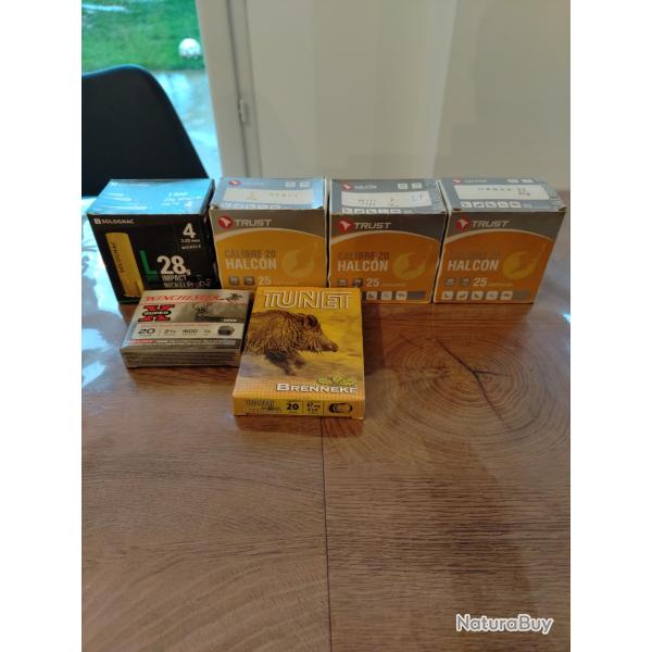 Vends cartouches cal 20.