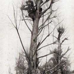 CPA - Officier observant le tir de nos pi&egrave;ces -N&deg;7468