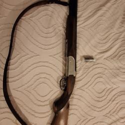 Becassier sagittaire.