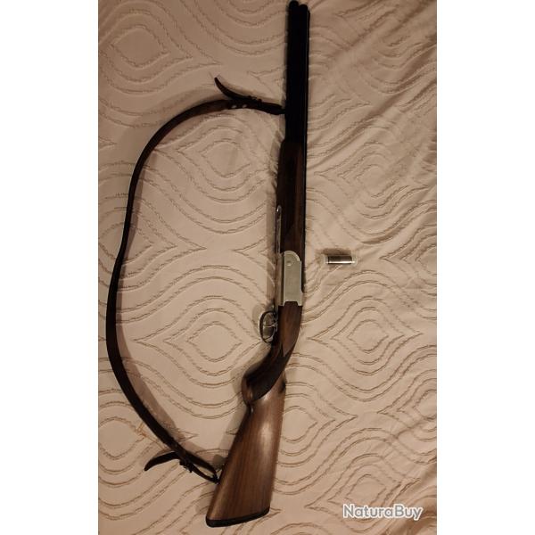 Becassier sagittaire.