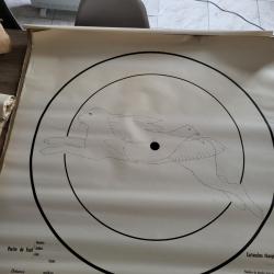 Lot 25 cibles essais 90x90