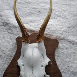 TROPHEE DE BROCARD (N&deg;10)