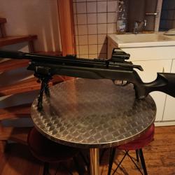 Gamo arrow 5.5 40 joules