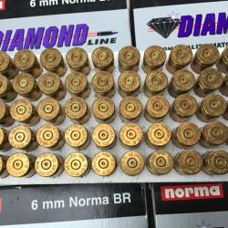 Douilles (&eacute;tuis) NORMA 6 BR tir&eacute;es 1 fois