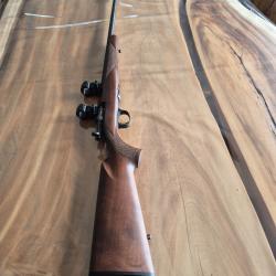 22 lr browing sporter t bolt