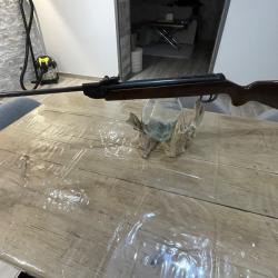 Carabine &agrave; plomb