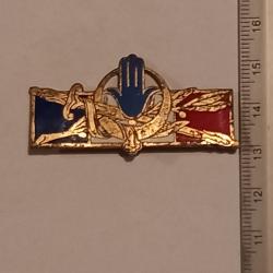 Insigne des forces fran&ccedil;aises en Afrique du nord