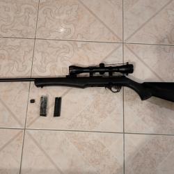 22 lr Rossi avec silencieux