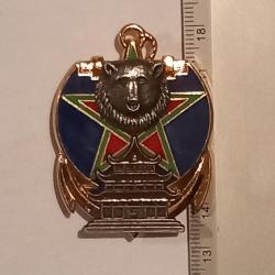 Insigne du 5&egrave;me escadron du r&eacute;giment d'infanterie de chars de marine (RICM)