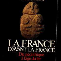 la france d'avant la france du n&eacute;olithique &agrave; l'age de fer de jean guilaine pr&eacute;histoire