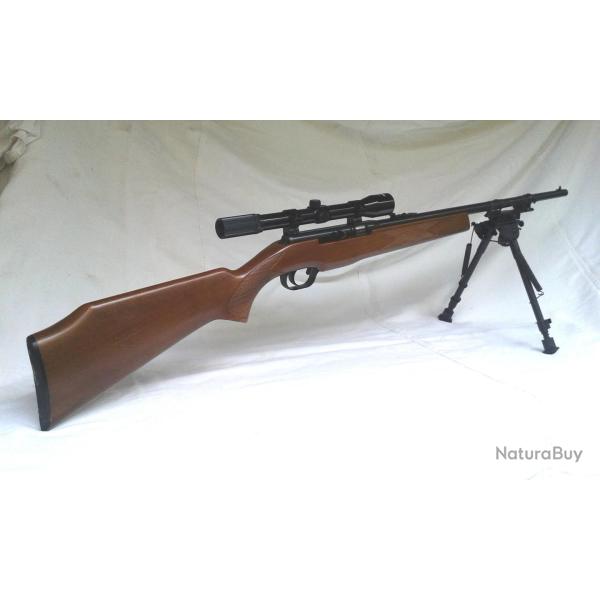 Carabine semi-auto Reina 446 cal 22lr en bon �tat, avec Lunette 4X20, bipied et Point R/V Holograph.