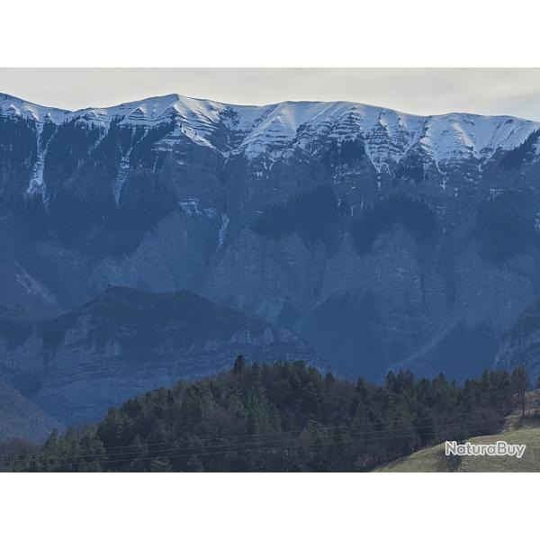 RECHERCHE ACTIONNAIRES