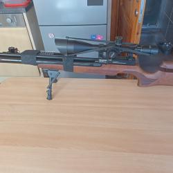 Carabine benjamin cayden