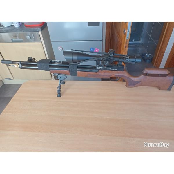 Carabine benjamin cayden