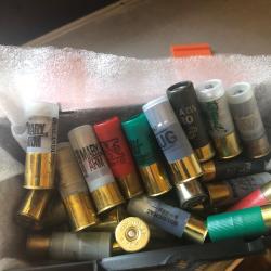 + de 30 balle cal 12, Sauvestre,winchester mary arm,  ,rottweil    etc
