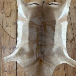 peau Impala m&acirc;le