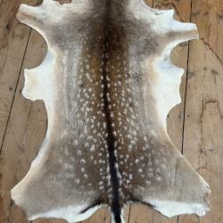 peau daim m&acirc;le