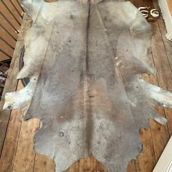 peau &Eacute;lan du Cap