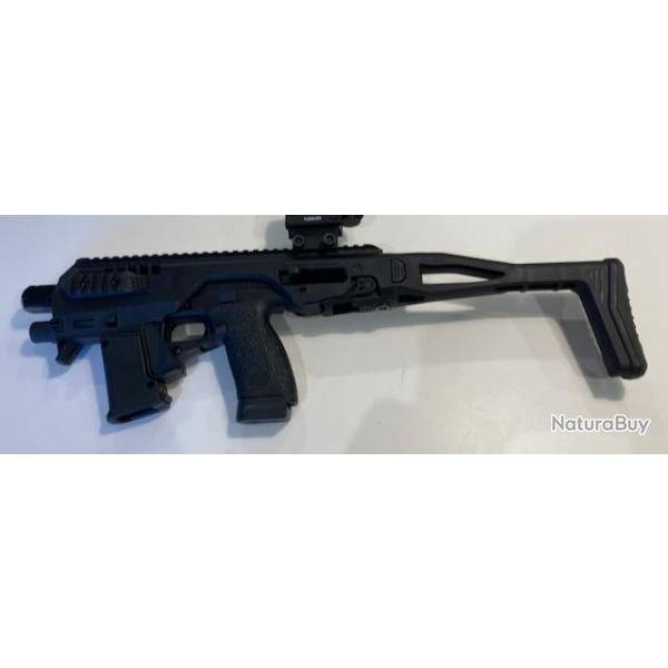 Crosse Micro RONI gen 4 de CAA pour CZP10C ou F