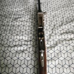 Carabine de jardin cal 9mm