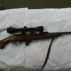 carabine semi auto REINA cal 22lr + lunette + silencieux cat B