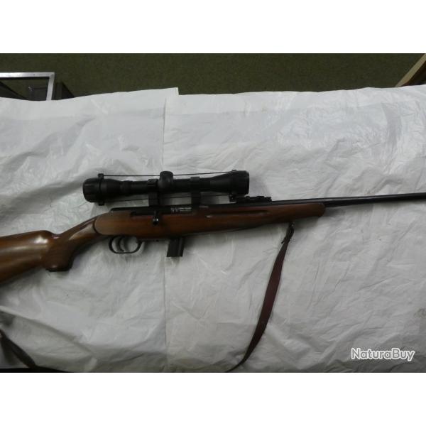 carabine semi auto REINA cal 22lr + lunette + silencieux cat B