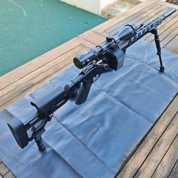 Carabine Ruger precision rimfire 22lr
