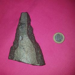 &Eacute;CLAT D'OBUS WW2